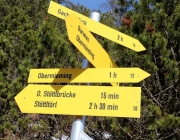 Steinblumen am Stöttlbach