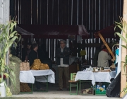 Obermieminger Bauern Fest – Bauernmarkt und Tag der offenen Stalltür am Steirerhof