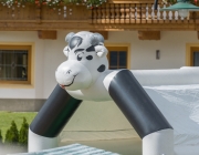 Obermieminger Bauern Fest – Bauernmarkt und Tag der offenen Stalltür am Steirerhof