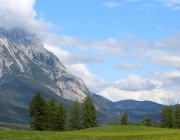 Störche über dem Mieminger Moos