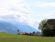 Störche über dem Mieminger Moos