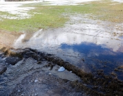 Tauwetter in den Moosalmwiesen