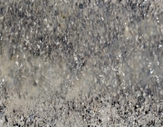 Tauwetter in den Moosalmwiesen