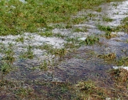 Tauwetter in den Moosalmwiesen