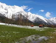 Tauwetter in den Moosalmwiesen