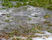 Tauwetter in den Moosalmwiesen