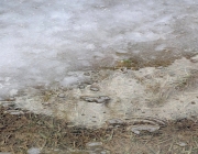 Tauwetter in den Moosalmwiesen