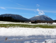 Tauwetter in den Moosalmwiesen