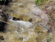 Tauwetter in den Moosalmwiesen