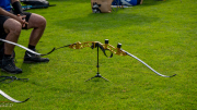 1_DSC02417