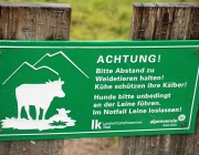 Mai-Regen beim Auftrieb zum Vorberg der Feldernalm