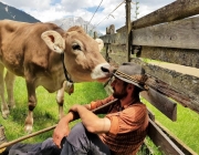 Vorberg der Feldereralpe - der Kälberhag in Obermieming