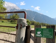 Vorberg der Feldereralpe - der Kälberhag in Obermieming