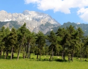 Vorberg der Feldereralpe - der Kälberhag in Obermieming