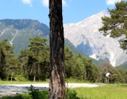 Vorberg der Feldereralpe - der Kälberhag in Obermieming