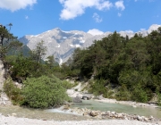 Vorberg der Feldereralpe - der Kälberhag in Obermieming