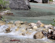 Vorberg der Feldereralpe - der Kälberhag in Obermieming