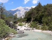 Vorberg der Feldereralpe - der Kälberhag in Obermieming