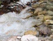 Vorberg der Feldereralpe - der Kälberhag in Obermieming