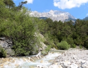 Vorberg der Feldereralpe - der Kälberhag in Obermieming