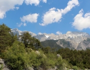 Vorberg der Feldereralpe - der Kälberhag in Obermieming