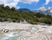 Vorberg der Feldereralpe - der Kälberhag in Obermieming