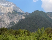 Vorberg der Feldereralpe - der Kälberhag in Obermieming