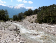 Vorberg der Feldereralpe - der Kälberhag in Obermieming