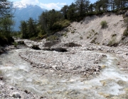 Vorberg der Feldereralpe - der Kälberhag in Obermieming