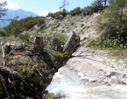 Vorberg der Feldereralpe - der Kälberhag in Obermieming