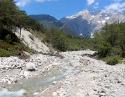 Vorberg der Feldereralpe - der Kälberhag in Obermieming