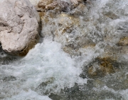 Vorberg der Feldereralpe - der Kälberhag in Obermieming