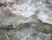 Vorberg der Feldereralpe - der Kälberhag in Obermieming