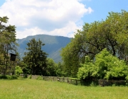 Vorberg der Feldereralpe - der Kälberhag in Obermieming