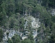 Wanderung im Mieminger Gebirge – Der Morgensonne entgegen