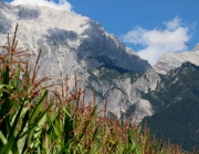 Weiler See erstrahlt in neuem Glanz