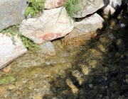 Weiler See erstrahlt in neuem Glanz
