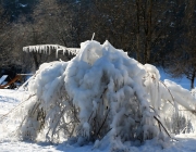 badesee_mieming_winter_2017_012