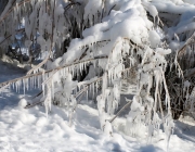 badesee_mieming_winter_2017_016
