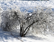 badesee_mieming_winter_2017_017