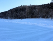 badesee_mieming_winter_2017_035