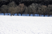 Sonnenwintertag in Mieming - viele waren draußen, denn das Wetter wird schlechter