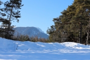 Sonnenwintertag in Mieming - viele waren draußen, denn das Wetter wird schlechter