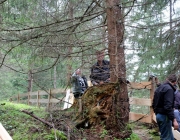 Zäunen auf der Biberwier-Alm