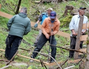 Zäunen auf der Biberwier-Alm