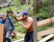 Zäunen auf der Biberwier-Alm