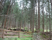 Zäunen auf der Biberwier-Alm