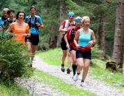 Zäunen auf der Biberwier-Alm