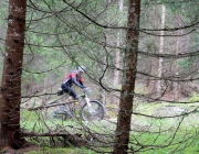 Zäunen auf der Biberwier-Alm