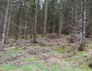 Zäunen auf der Biberwier-Alm